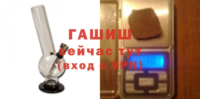 гашик Абаза